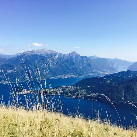 Alpe Del Lupo *