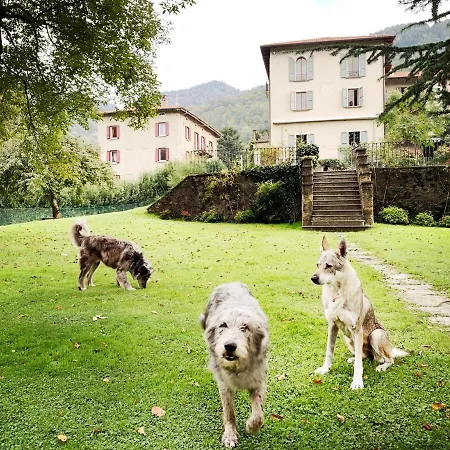 Apartment Alpe Del Lupo *